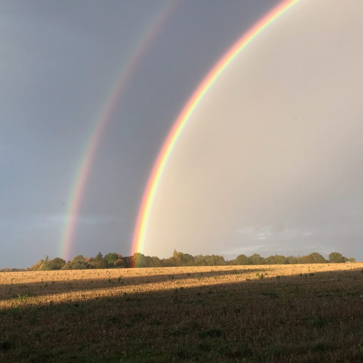 Rainbow